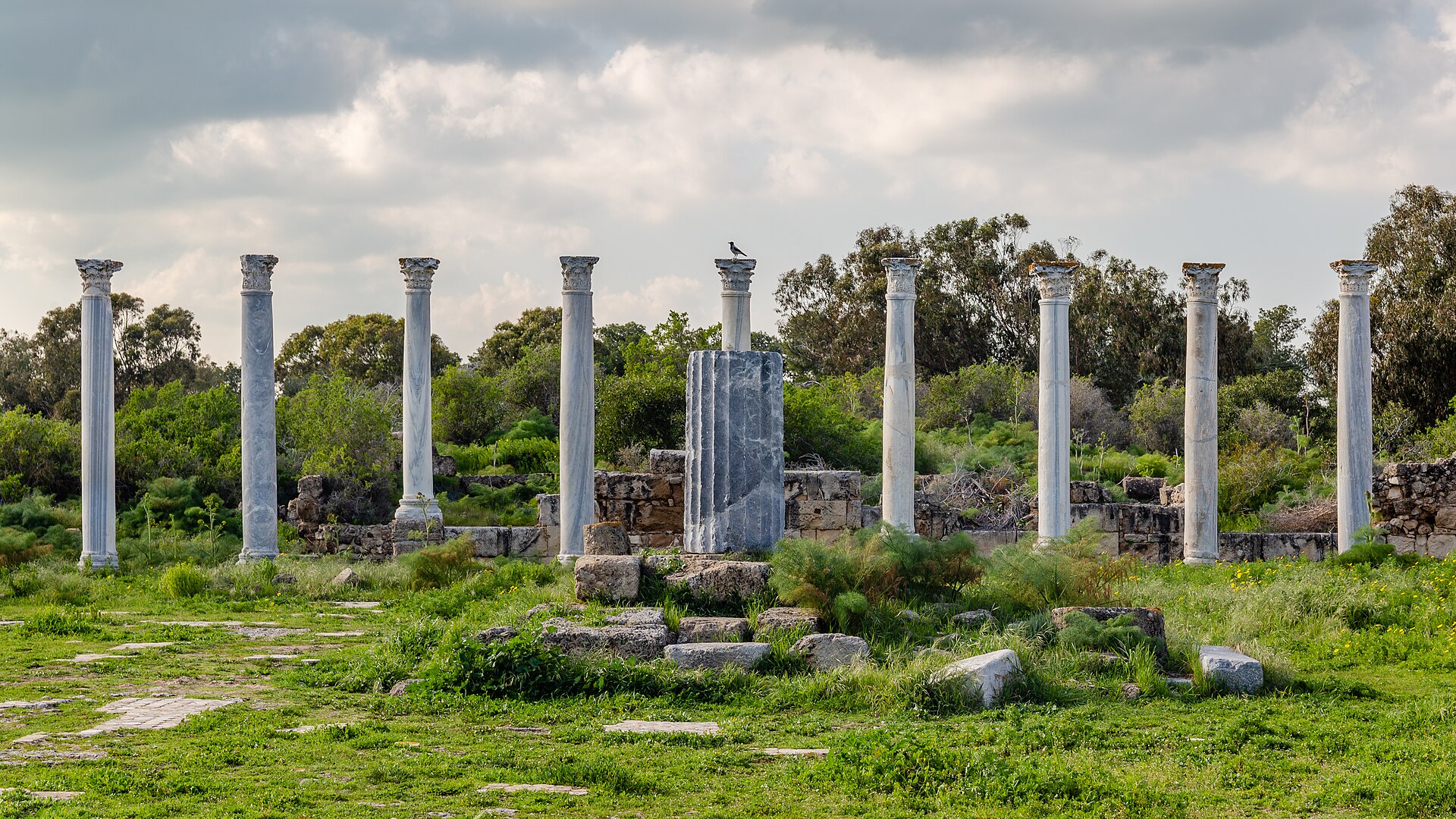 Ancient Salamis
